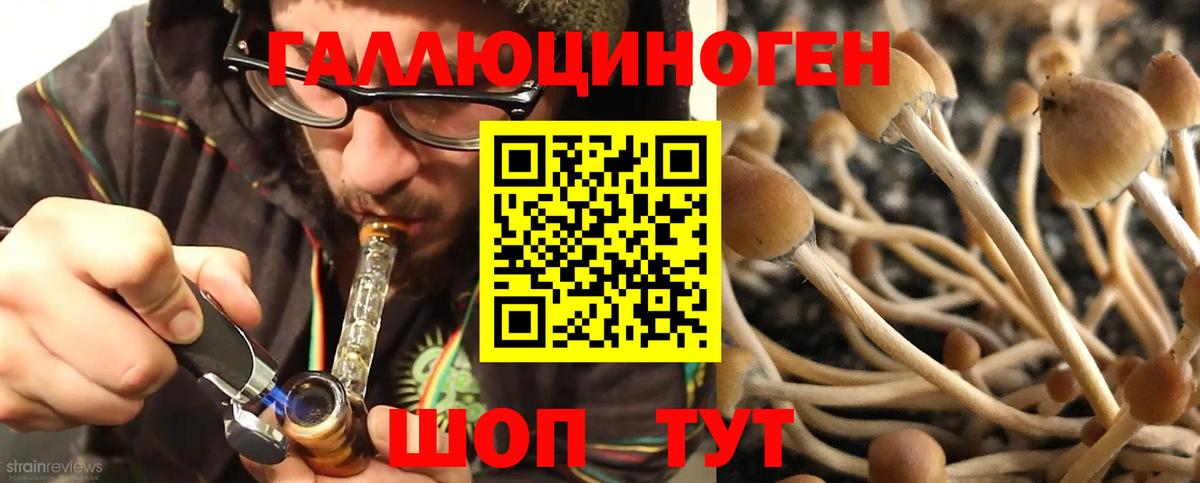 Псилоцибиновые грибы Psilocybe  Вход с VPN  Верхний Уфалей 